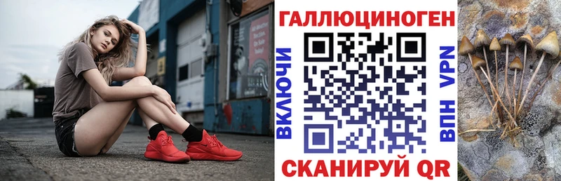 Купить Нефтегорск Галлюциногенные грибы Magic Shrooms