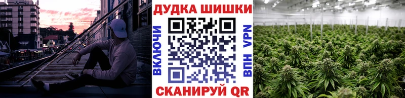 Купить  Нефтегорск  Бошки Шишки планчик 
